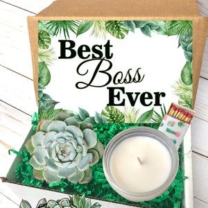 May include: A gift box containing a succulent plant, a candle, and matches. The box features the text "Best Boss Ever" and is decorated with tropical leaves. The gift box is from "Plants of Paradise - The Plant Gift Shop."