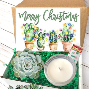 Christmas Gift Box, Succulent Gift Box, Christmas Succulent, Send a gift, Christmas Gift, Holiday Best Friend Gift, Christmas Gift ideas