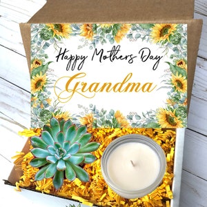 Gift for Grandma, Happy Mothers Day Grandma, Noni, Grandmother, from Daughter, Granddaughter gift for Grandma, Live Succulent Gift Box