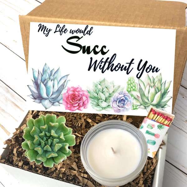My Life Would Succ Without You Gift Box, my life would succ, miss you gift, succulent gift, best friend gift, thank you gift, friend gift