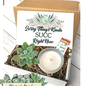Succulent Gift Box,Sympathy gift, Sorry things succ right now, Encouragement Gift, Care Package, Cheer up gift, Break up gift box