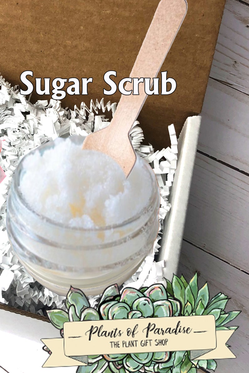 May include: A clear glass jar filled with white sugar scrub, with a wooden spoon resting inside. The jar sits in a cardboard box with white paper filler. The words "Sugar Scrub" are at the top. A banner with the text "Plants of Paradise" is at the bottom.