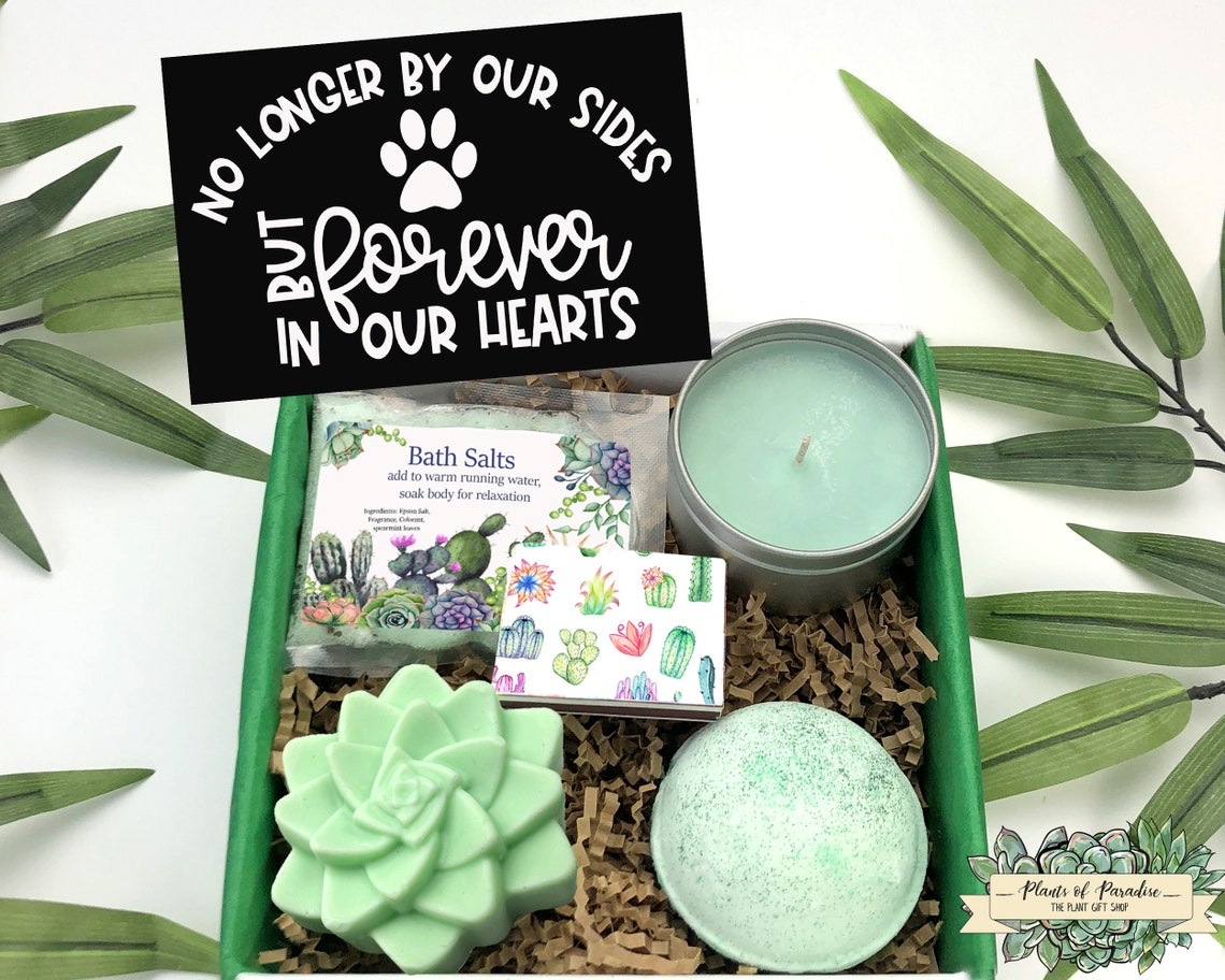 Pet Sympathy Gift Box Pet Loss Gift Basket Sympathy Gift Etsy