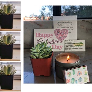 May include: A collection of items including potted succulents, a lit candle in a metal tin, and a decorative matchbox with cactus illustrations. A card with the text "Happy Galentine's Day" and a handwritten note are also present.