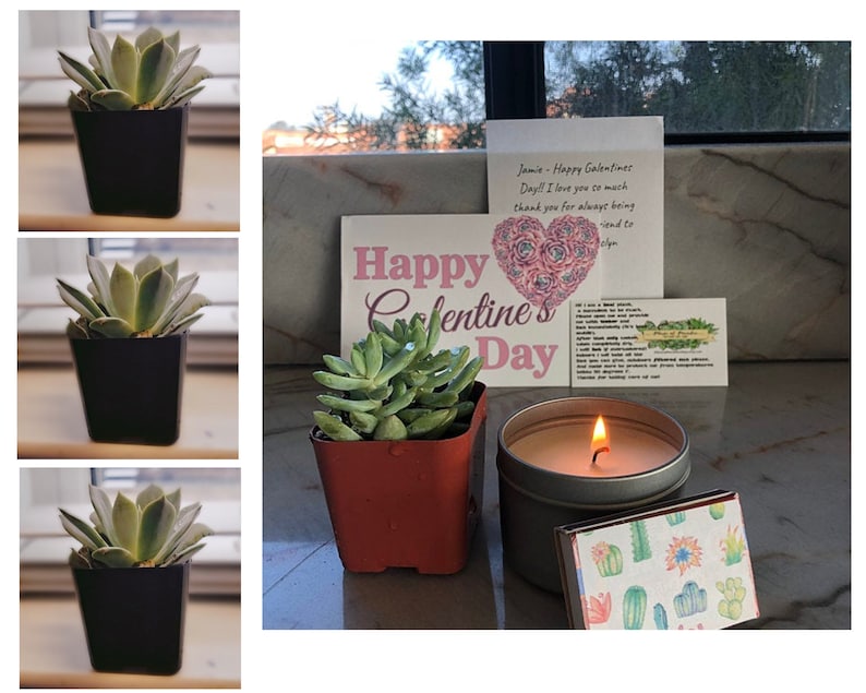 May include: A collection of items including potted succulents, a lit candle in a metal tin, and a decorative matchbox with cactus illustrations. A card with the text "Happy Galentine's Day" and a handwritten note are also present.