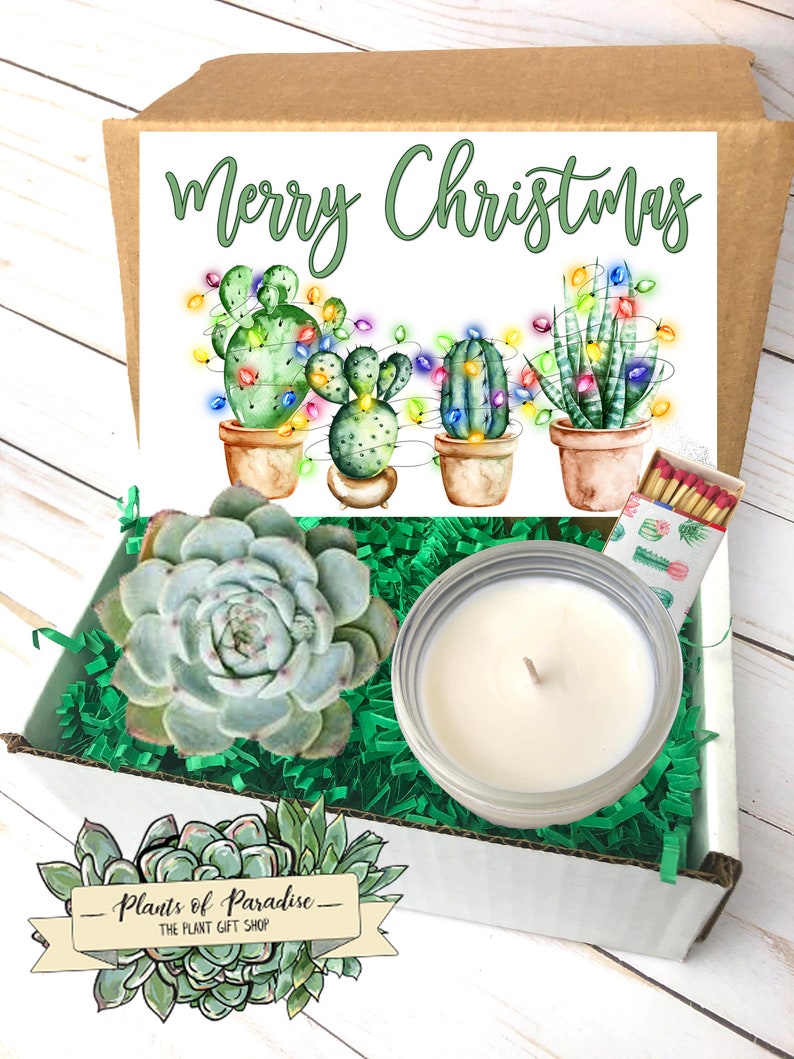 Christmas Gift Box, Succulent Gift Box, Christmas Succulent, Send a gift, Christmas Gift, Holiday Best Friend Gift, Christmas Gift ideas 