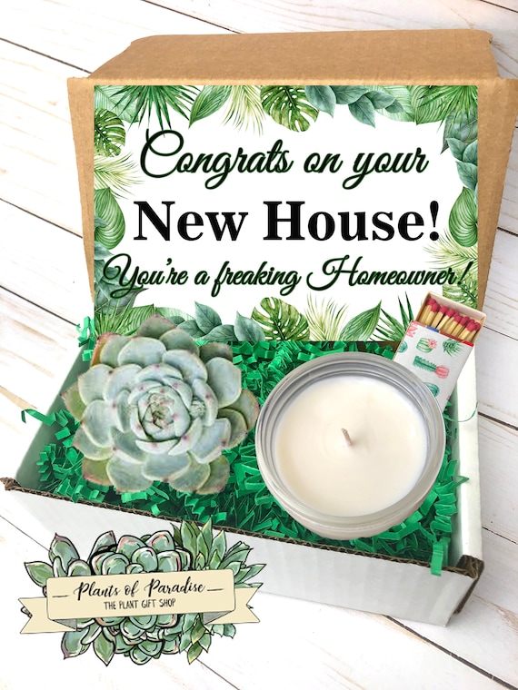 Housewarming Gift, New Home Gift, Congrats New Home, Send a Gift, Housewarming Plant, Succulent Gift Box