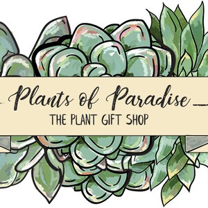 May include: A logo for a plant shop called "Plants of Paradise - The Plant Gift Shop". The logo features a hand-drawn illustration of succulents in shades of green, white, and pink. The text is in black.