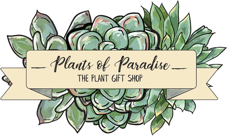 May include: A logo for a plant shop called "Plants of Paradise - The Plant Gift Shop". The logo features a hand-drawn illustration of succulents in shades of green, white, and pink. The text is in black.