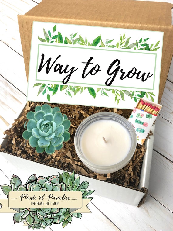 New Job Gift Congrats Congratulations Gift Graduation Gift Box