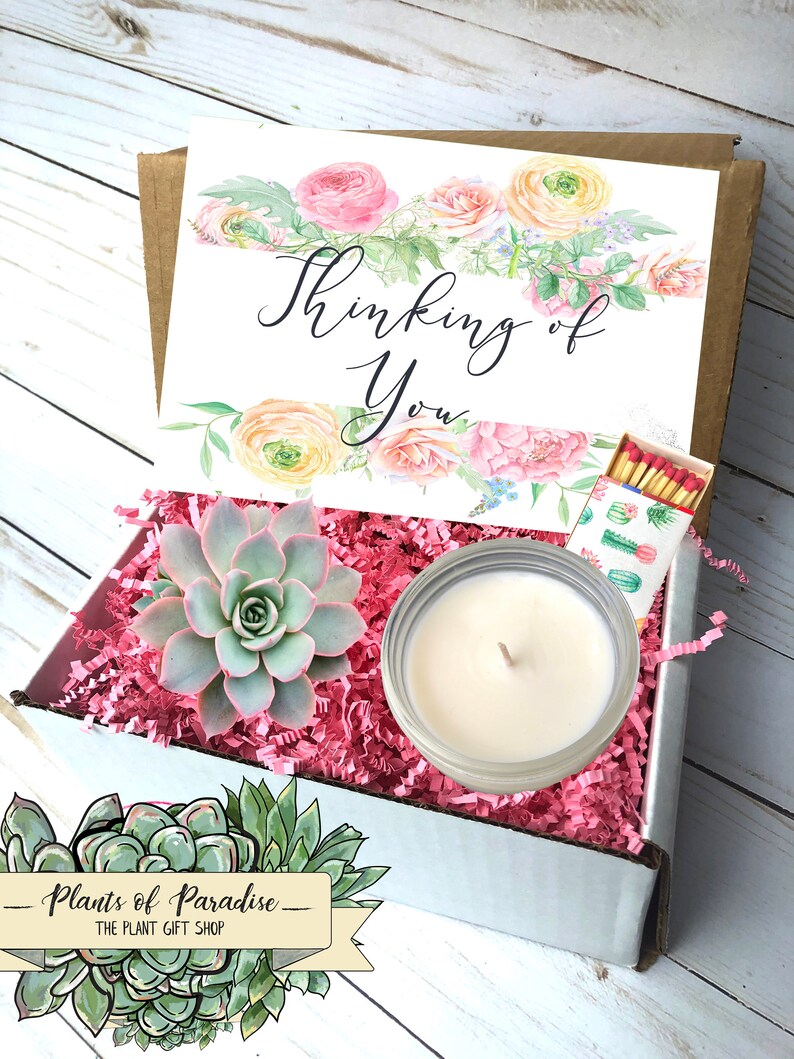 Thinking of you gift Care Package Send a Gift Box Etsy