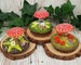 Woodland Red Mushrooms or Toadstools (Fly Agaric) - Made to order 