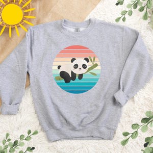 May include: A gray sweatshirt with a retro-style graphic of a panda bear sleeping on a bamboo branch. The graphic is set against a colorful striped background.