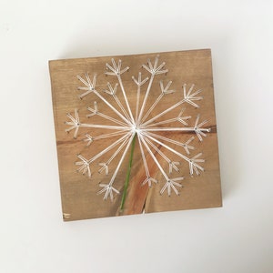 Stained dandelion string art | Perfect for everyday home decor | Dandelion wood wall art | Contemporary flower designs | Gift ideas