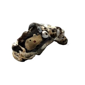 Fosil, Flintstone Versteinerung,  Feuerstein Feuerstein mit versteinerten Muscheln Hexenstein Schutzstein 10x6cm Glücksstein Aquaristik