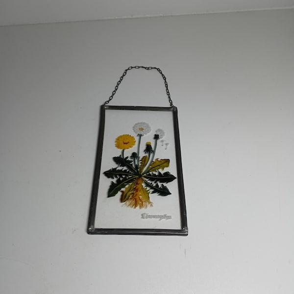 Fensterbild Glasmalerei Bleiglas Löwenzahn florales Motiv Glas Bleiglasscheiben bleiverglaste Scheibe Metall Handwerkskunst