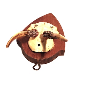Rustikales Rehbockgeweih mit Schädel auf Holz – Jagdtrophäe, Wanddeko, Landhausstil & Naturdeko für Jagdhütte oder Sammler!