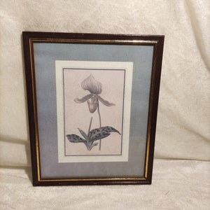 Lithograph picture in vintage wooden frame plant picture Revue Horticole