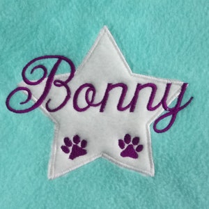 Dog cuddle pillow embroidered with name and a star mint