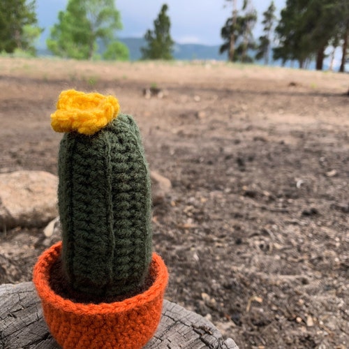 Crochet cactus!