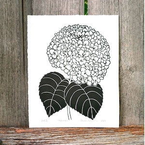Op de afbeelding: Zwart-witte linosnede van een hortensia met twee bladeren. De print is getiteld "Hydrangea" en gesigneerd "Deanna Pettit 2022".