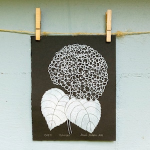 Op de afbeelding: Een zwart-witte print van een hortensia bloem met bladeren. De print is getiteld "Hydrangea" en gesigneerd "Sarah Feskean 2021".