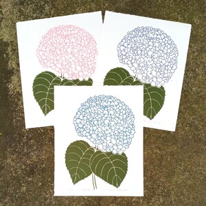 Op de afbeelding: Drie prints van hortensia's in verschillende kleuren. De prints zijn op wit papier met een groen bladontwerp. De hortensia's zijn roze, blauw en wit.