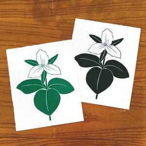 Op de afbeelding: Twee illustraties van een witte trillium bloem met groene bladeren. De bloem links is gevuld met groen, terwijl de bloem rechts zwart is gevuld.
