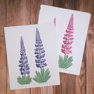 Op de afbeelding: Twee prints van lupine bloemen, één in paars en één in roze. De prints zijn op wit papier met een textuur. De prints zijn gesigneerd en gedateerd.