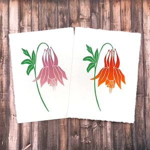 Op de afbeelding: Twee illustraties van een roze en oranje akelei op wit papier.