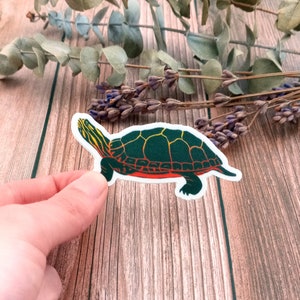 May include: A sticker of a painted turtle with a green shell, red and orange accents, and black markings. The turtle is on a wood background.
