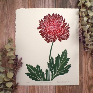 Op de afbeelding: Een rode en witte chrysantenbloem met groene bladeren, gedrukt op crèmekleurig papier. De print is getiteld "Chrysan themum" en gesigneerd "Joseph Beeston 23".