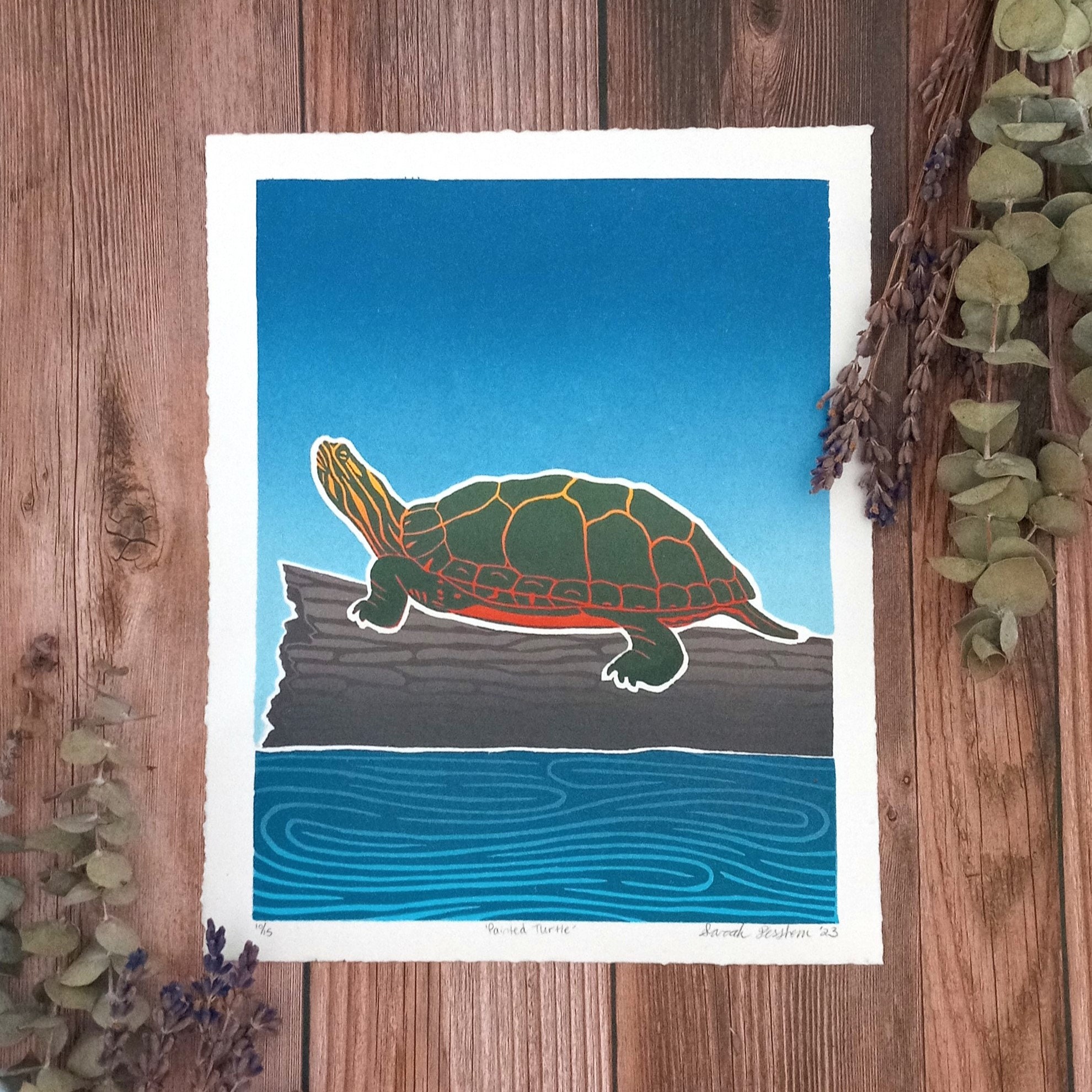 Painted Turtle Linocut Print | MICHIGAN COLLECTION 8x10 Original Limited Edition Artwork | Michigan State Reptile Art The Blooming Brush