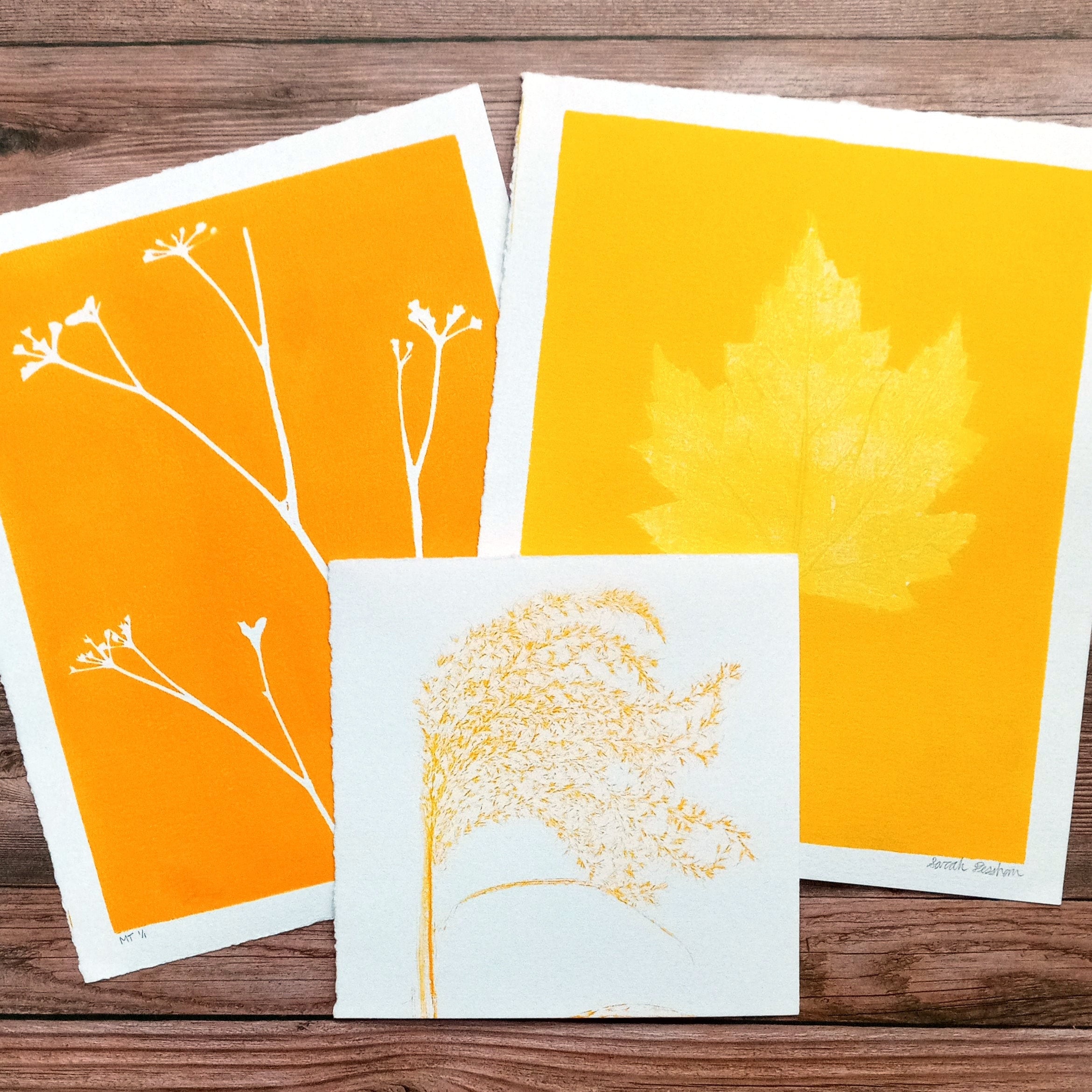 Yellow Natural Botanical Monoprint - Many Designs | 8x10 Original Limited Edition | Minimalist Monotype Artwork from The Blooming Brush