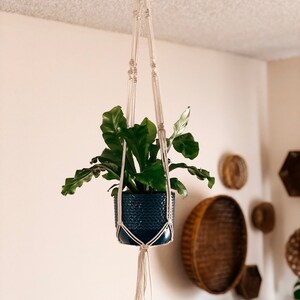 Macrame Plant Hanger