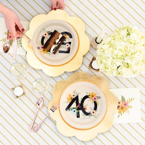 40th 50th 60th Birthday Party Paper Plates - 9 inch plates set of 10 - Disposable Easy Paper Plates
