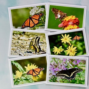 Cartes de correspondance avec photo papillon - Cartes de correspondance vierges 60-0080
