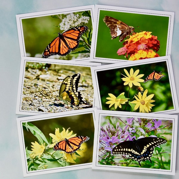 Butterfly Photo Note Cards - Blank Note Cards  60-0080