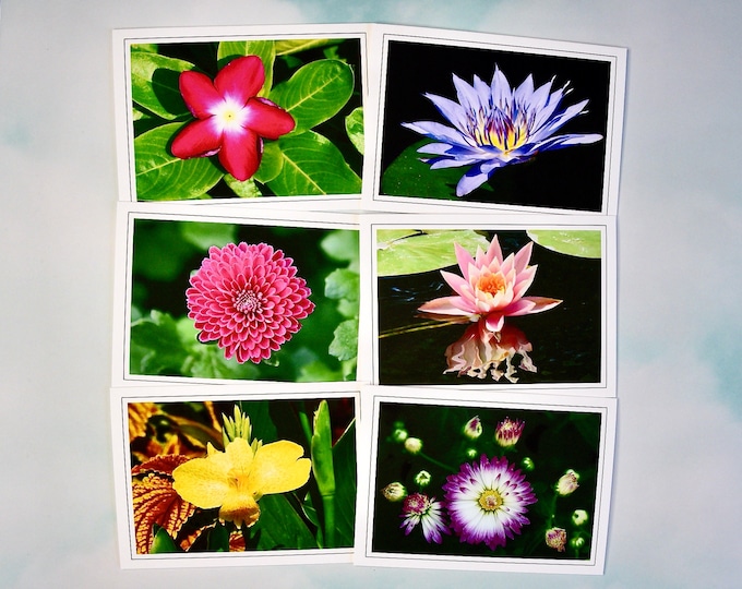 Floral Note Cards - Flower Images - Blank Note Cards  60-0300