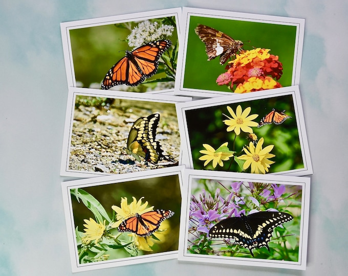 Butterfly Photo Note Cards - Blank Note Cards  60-0080