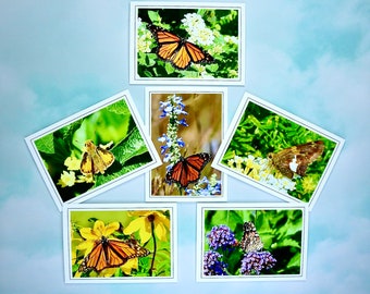 Butterfly Note Cards - Blank Note Cards