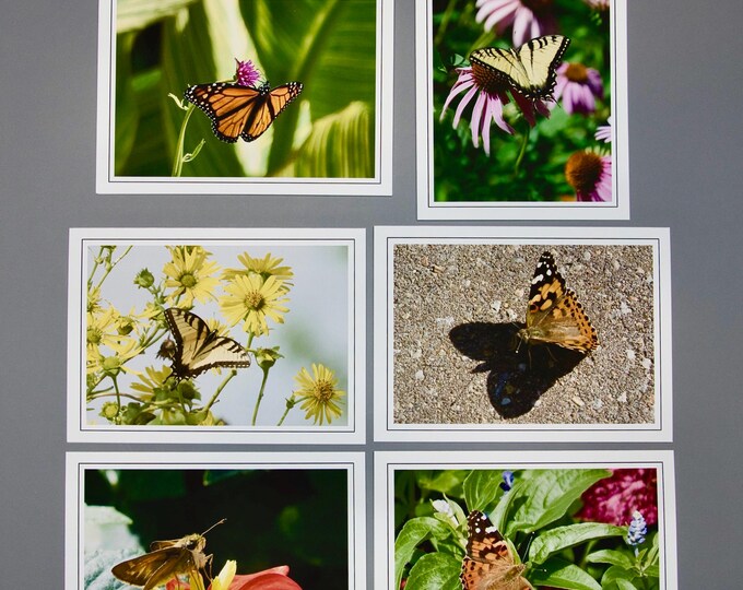 Assorted Butterfly Note Cards - Set of 6 - Blank Inside - 60-0480