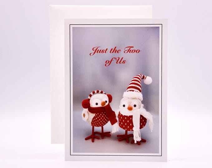 Christmas Holiday Cards - Set of 8 with Envelopes - Owl Couple - 81-5694