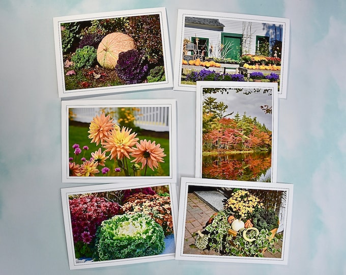Autumn - Fall Photo Note Cards - Blank Inside - Set of 6  60-0180