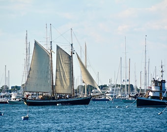 Coastal Photo Print - Harbor Print - Busy Harbor, Newport, RI  71-2882