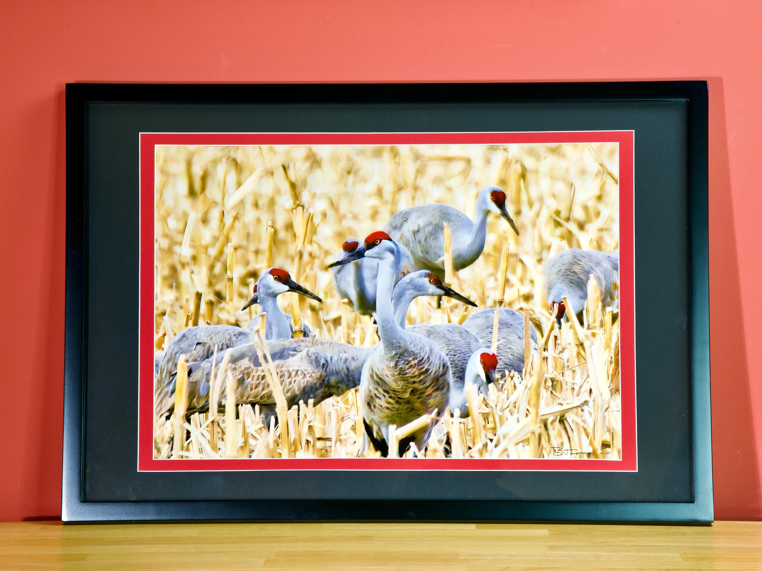 gallery photo
