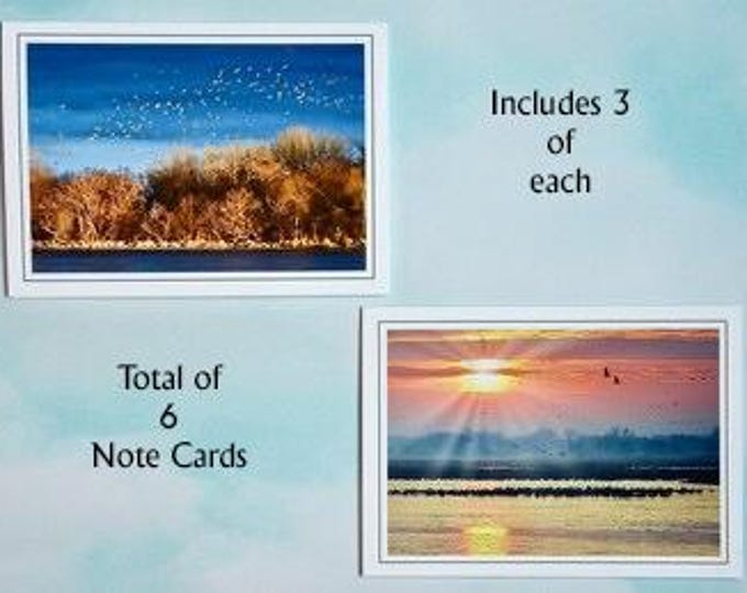 Sandhill Cranes at Sunrise on the Platte River - 6 pk Blank Note Cards  62-0100