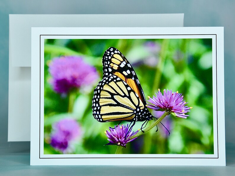 Butterfly Note Cards Monarch Butterflies Blank Note Cards 600280 Etsy
