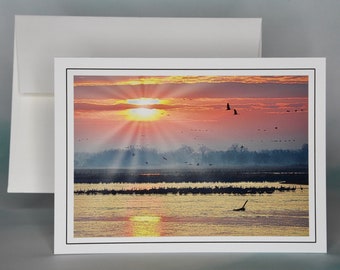 Sandhill Cranes at Sunrise Photo Note Card - Blank Note Card  71-8280A