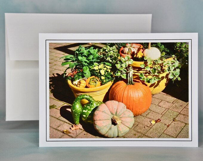 Autumn - Fall Photo Note Card - Blank Note Card - Pumpkins, Gourds and More  71-7127
